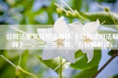 公司法全文及司法解释(《公司法司法解释》一、二、三、四、五权威解读)