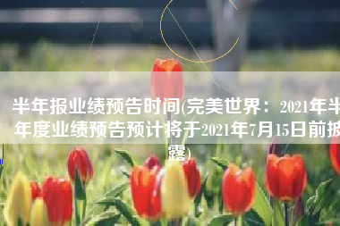 半年报业绩预告时间(完美世界：2021年半年度业绩预告预计将于2021年7月15日前披露)