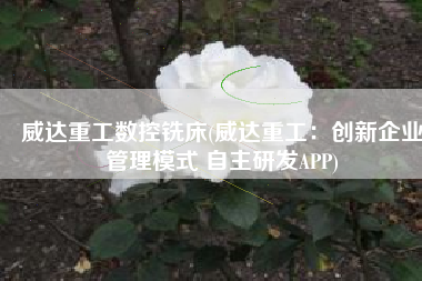 威达重工数控铣床(威达重工：创新企业管理模式 自主研发APP)