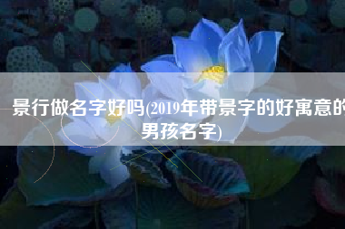 景行做名字好吗(2019年带景字的好寓意的男孩名字)