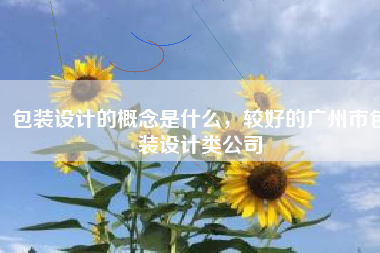 包装设计的概念是什么，较好的广州市包装设计类公司