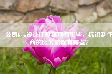 公司logo设计注意事项有哪些，标识制作商的服务流程有哪些？