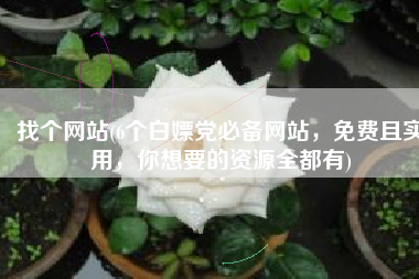 找个网站(6个白嫖党必备网站，免费且实用，你想要的资源全都有)