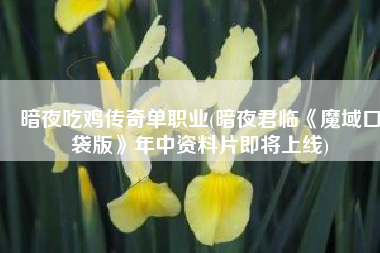 暗夜吃鸡传奇单职业(暗夜君临《魔域口袋版》年中资料片即将上线)