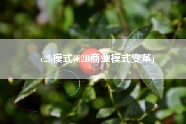 c2b模式(C2B商业模式变革)
