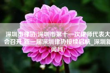 深圳市律协(深圳市第十一次律师代表大会召开 新一届深圳律协接续启航_深圳新闻网)