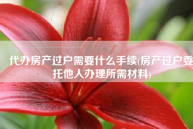 代办房产过户需要什么手续(房产过户委托他人办理所需材料)