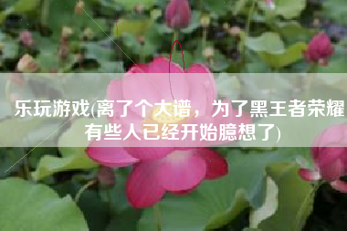 乐玩游戏(离了个大谱，为了黑王者荣耀，有些人已经开始臆想了)