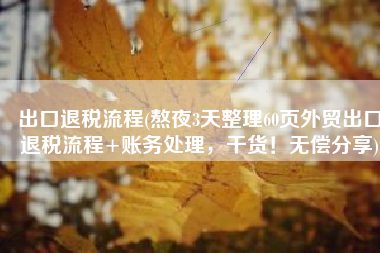 出口退税流程(熬夜3天整理60页外贸出口退税流程+账务处理，干货！无偿分享)