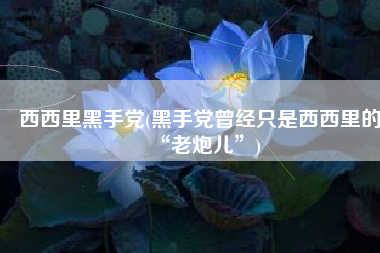 西西里黑手党(黑手党曾经只是西西里的“老炮儿”)