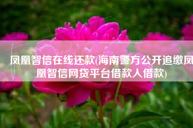 凤凰智信在线还款(海南警方公开追缴凤凰智信网贷平台借款人借款)