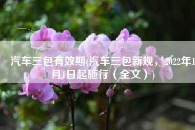 汽车三包有效期(汽车三包新规，2022年1月1日起施行（全文）)