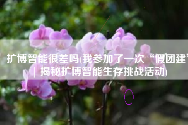 扩博智能很差吗(我参加了一次“假团建”| 揭秘扩博智能生存挑战活动)