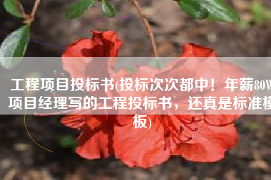 工程项目投标书(投标次次都中！年薪80W项目经理写的工程投标书，还真是标准模板)