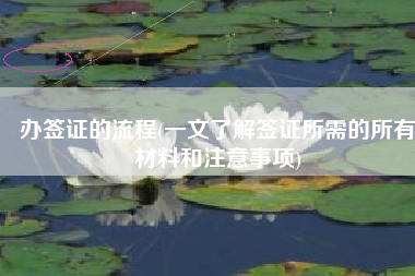 办签证的流程(一文了解签证所需的所有材料和注意事项)