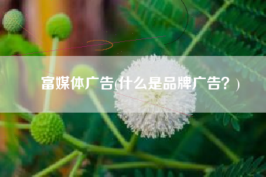 富媒体广告(什么是品牌广告？)