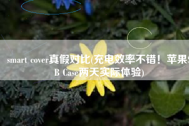 smart cover真假对比(充电效率不错！苹果SB Case两天实际体验)