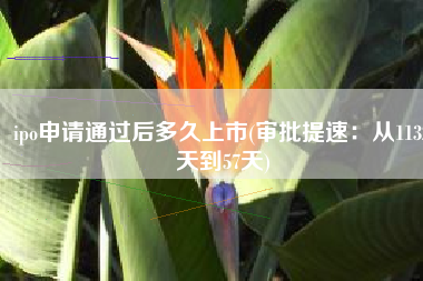 ipo申请通过后多久上市(审批提速：从1132天到57天)