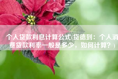 个人贷款利息计算公式(贷德到：个人消费贷款利率一般是多少，如何计算？)