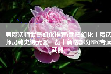 男魔法师武器幻化推荐(武器幻化丨魔法师灵魂史诗武器一览丨新增部分NPC专属武器)