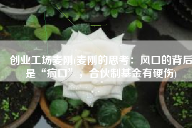 创业工场麦刚(麦刚的思考：风口的背后是“疯口”，合伙制基金有硬伤)