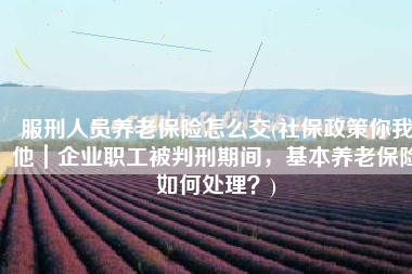 服刑人员养老保险怎么交(社保政策你我他｜企业职工被判刑期间，基本养老保险如何处理？)