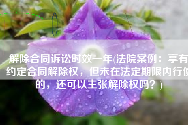 解除合同诉讼时效一年(法院案例：享有约定合同解除权，但未在法定期限内行使的，还可以主张解除权吗？)