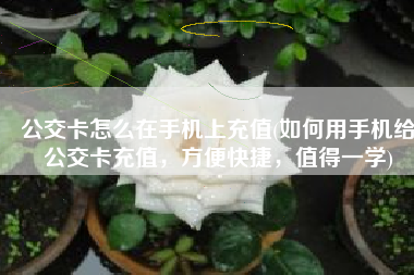 公交卡怎么在手机上充值(如何用手机给公交卡充值，方便快捷，值得一学)