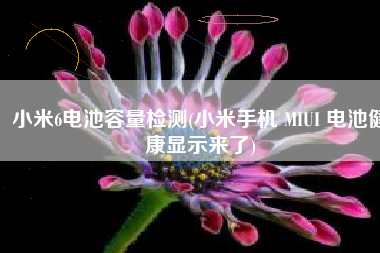 小米6电池容量检测(小米手机 MIUI 电池健康显示来了)