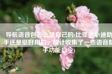导航语音包怎么录自己的(比亚迪小迪助手还是挺好用的，统计收集了一些语音助手功能口令)