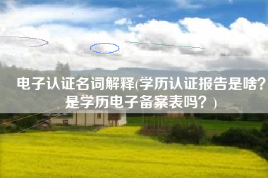 电子认证名词解释(学历认证报告是啥？是学历电子备案表吗？)
