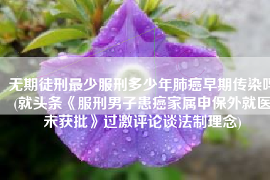 无期徒刑最少服刑多少年肺癌早期传染吗(就头条《服刑男子患癌家属申保外就医未获批》过激评论谈法制理念)