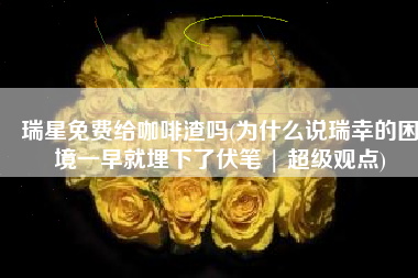 瑞星免费给咖啡渣吗(为什么说瑞幸的困境一早就埋下了伏笔 | 超级观点)