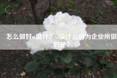 怎么做好vi设计？vi设计公司为企业所做的是？