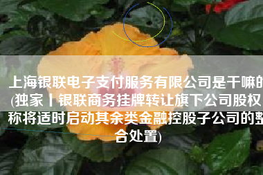 上海银联电子支付服务有限公司是干嘛的(独家丨银联商务挂牌转让旗下公司股权，称将适时启动其余类金融控股子公司的整合处置)
