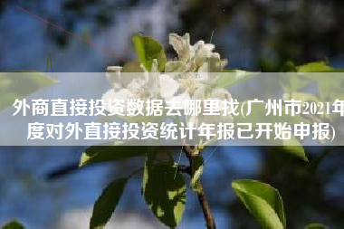 外商直接投资数据去哪里找(广州市2021年度对外直接投资统计年报已开始申报)