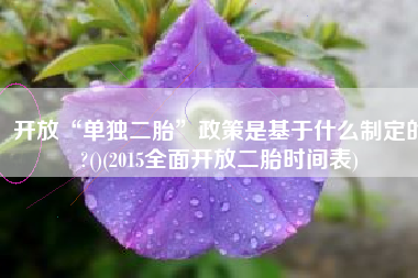 开放“单独二胎”政策是基于什么制定的?()(2015全面开放二胎时间表)