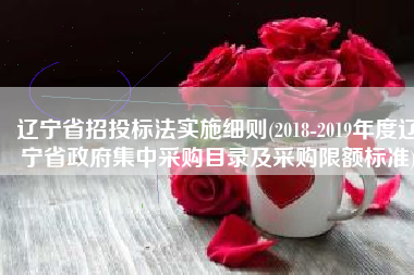 辽宁省招投标法实施细则(2018-2019年度辽宁省政府集中采购目录及采购限额标准)