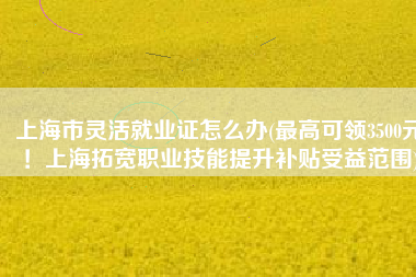 上海市灵活就业证怎么办(最高可领3500元！上海拓宽职业技能提升补贴受益范围)