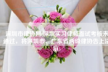 深圳市律协网(深圳实习律师面试考核未通过，将深圳市、广东省两级律协告上法庭)