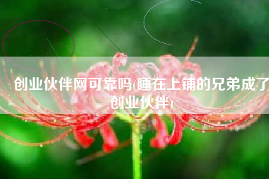 创业伙伴网可靠吗(睡在上铺的兄弟成了创业伙伴)