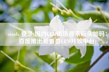 xtools 登录(国内CRM市场迎来巨头加码：百度推出爱番番CRM开放平台)