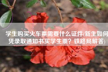 学生购买火车票需要什么证件(新生如何凭录取通知书买学生票？铁路局解答)