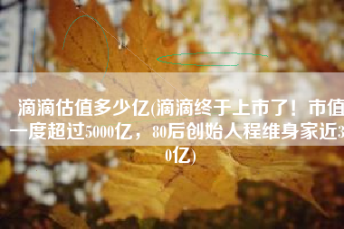 滴滴估值多少亿(滴滴终于上市了！市值一度超过5000亿，80后创始人程维身家近300亿)