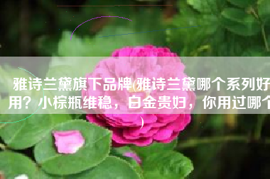 雅诗兰黛旗下品牌(雅诗兰黛哪个系列好用？小棕瓶维稳，白金贵妇，你用过哪个)