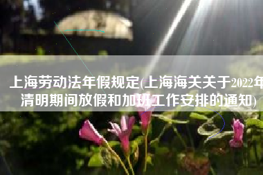上海劳动法年假规定(上海海关关于2022年清明期间放假和加班工作安排的通知)