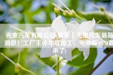 光束汽车有限公司(独家｜光束汽车最新消息！工厂主体年底竣工，电动版MINI要来了)