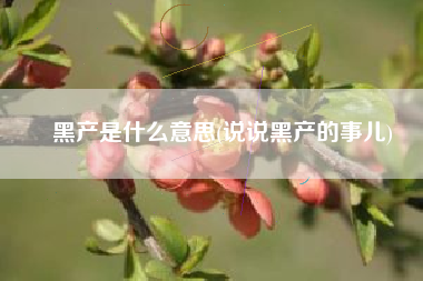 黑产是什么意思(说说黑产的事儿)