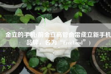金立的手机(前金立高管俞雷成立新手机品牌，名为“FreeYond”)