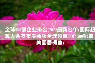 全球500强企业排名(2022最新名单(国际超算大会发布最新版全球超算TOP 500榜单，美国居榜首)